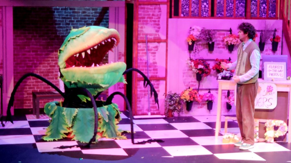 Set of 4 plant puppets for Little Shop of Horrors